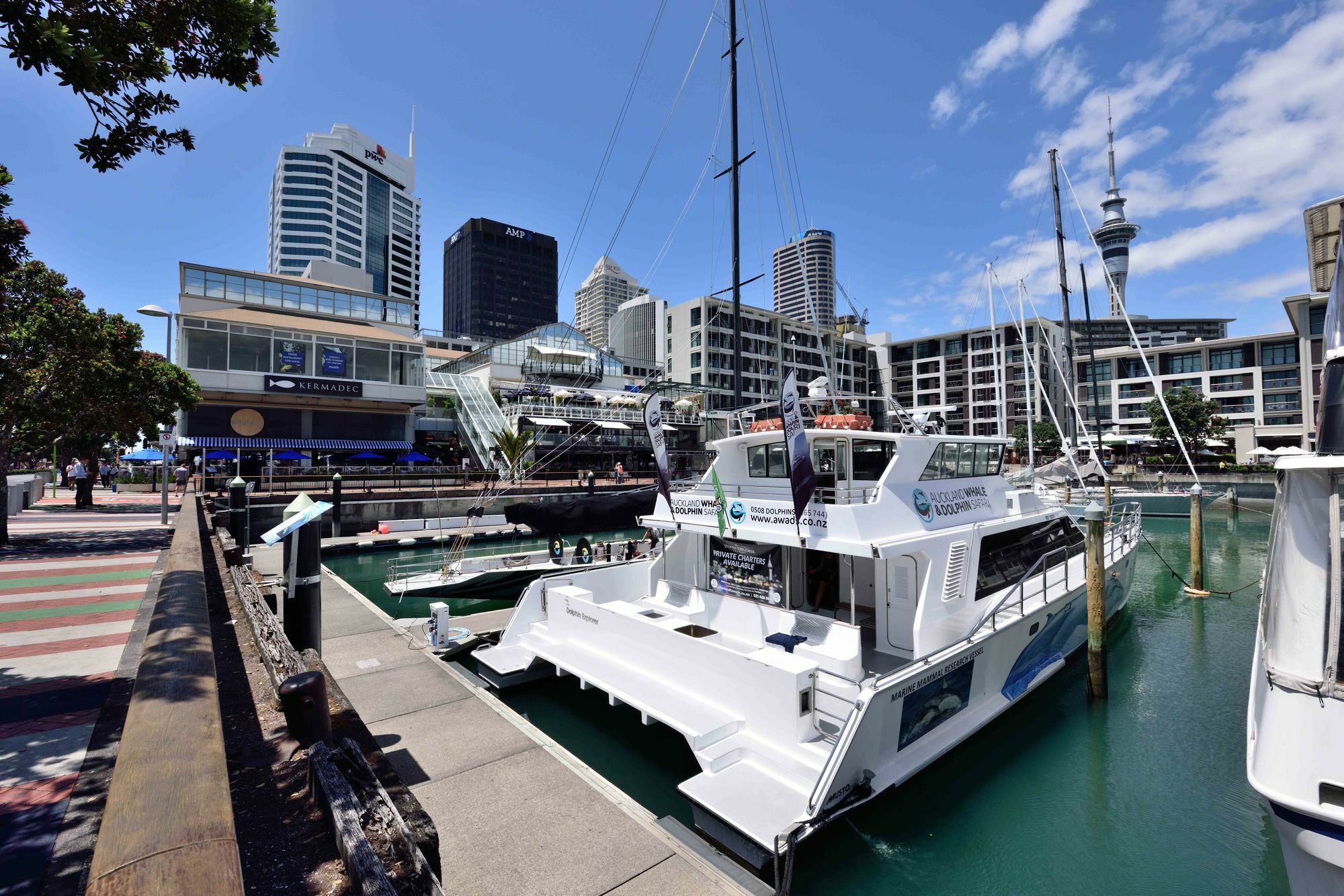 Furnished Apartment In Auckland Cbd מראה חיצוני תמונה